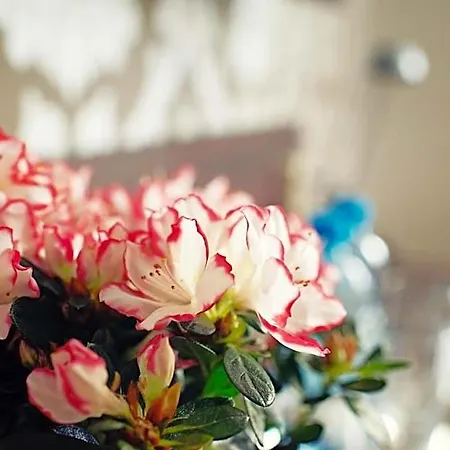 Makara ホテル