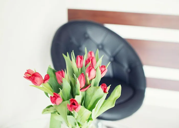 Makara Hotel Katowice